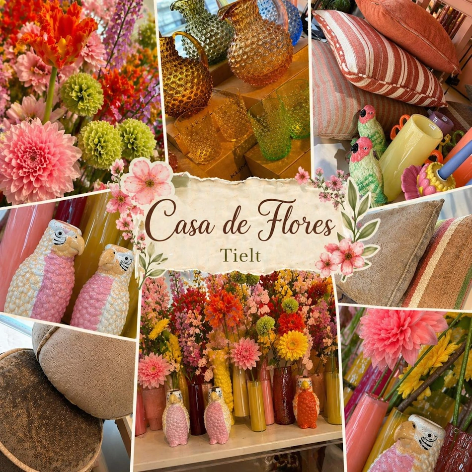 Casa de Flores in Tielt